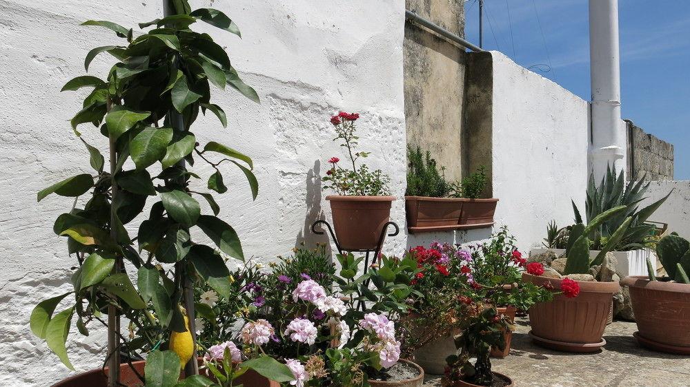 Volver B&B Lecce Exterior photo